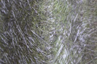 Michaelchurch Escley fibreglass roof work